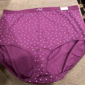 Cacique 18/20 (2X) Cotton High-Waist Brief Panty